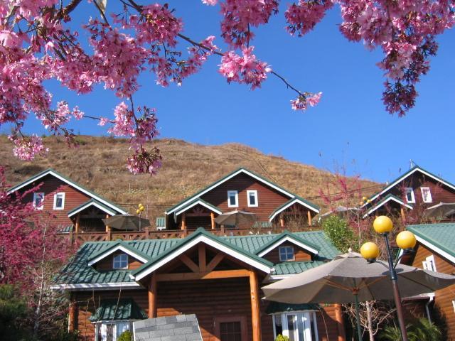 清境豐田桂林山莊民宿 Ren'ai Esterno foto